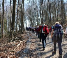 Zadnji metri do sv.Ane